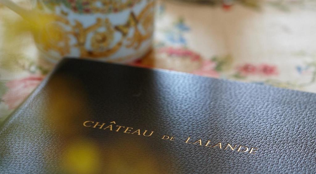 Chateau De La Lande Crozon-sur-Vauvre Luaran gambar